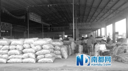 山东大蒜电子盘崩盘内幕:盘商操纵价格 集体失