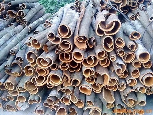 浙商所桂皮6月10日上线 - 现货交易市场 - 生意